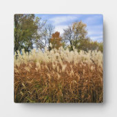 Plaque Photo Automne dans le Wisconsin (Devant)