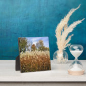 Plaque Photo Automne dans le Wisconsin (Insitu)