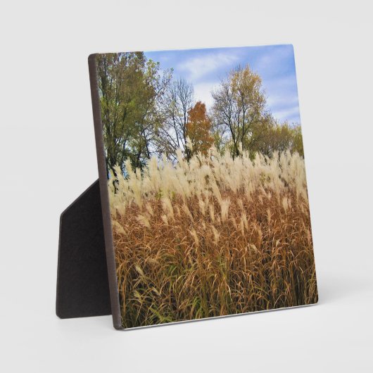 Plaque Photo Automne dans le Wisconsin (Recto)