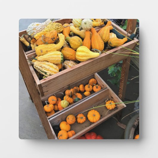 Plaque Photo Autumn Decor (Devant)