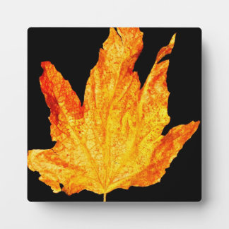 Plaque Photo Autumn Decor