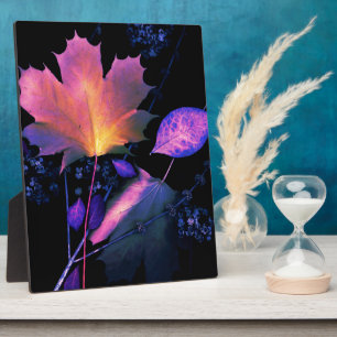 Plaque Photo Autumn Leaves