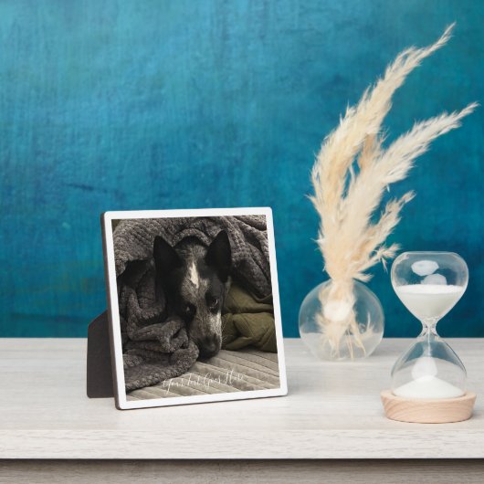 Plaque photo avec bordure et texte HAMbWG (Insitu)