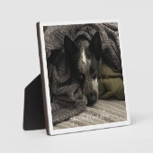 Plaque photo avec bordure et texte HAMbWG (Recto)