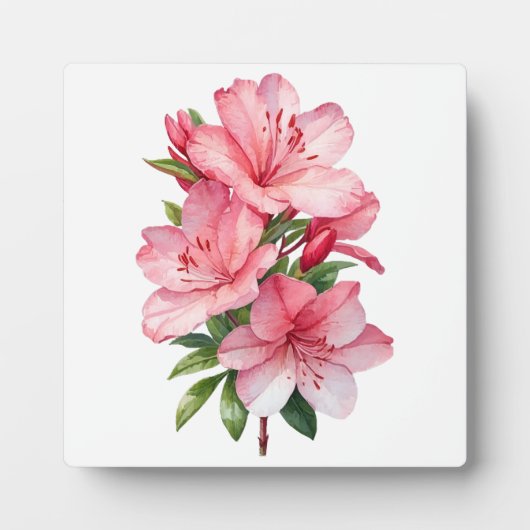 Plaque Photo Azalea peinture aquarelle (Devant)