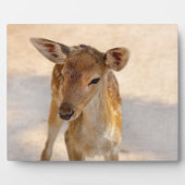 Plaque Photo Baby Deer (Devant)