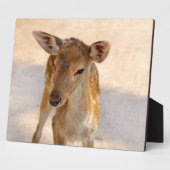Plaque Photo Baby Deer (Côté)