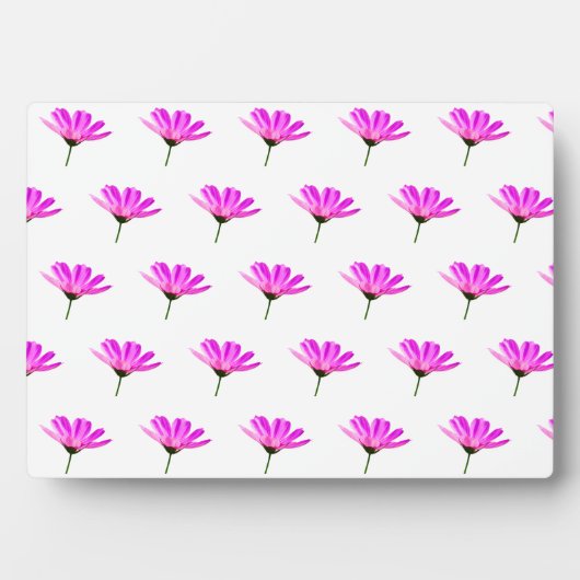 Plaque Photo Baise rose (Devant)