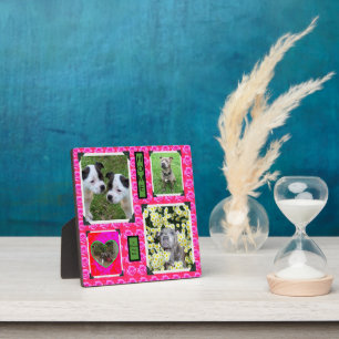 Plaque Photo Baisers Roses Roses Avec Taureau De Staffordshire
