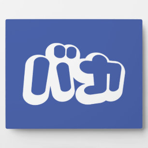 Plaque Photo BAKA カ ~ Fool en japonais Katakana