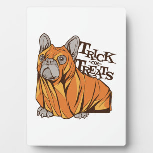 Plaque Photo Balais d'Halloween