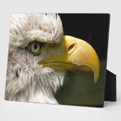PLAQUE PHOTO BALD EAGLES (Côté)
