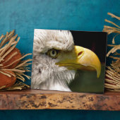 PLAQUE PHOTO BALD EAGLES (Côté)
