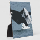 Plaque Photo Baleine d'Orka (Côté)
