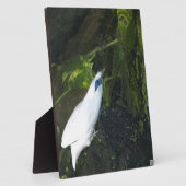 Plaque Photo Bali Mina (Côté)