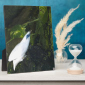 Plaque Photo Bali Mina (Côté)