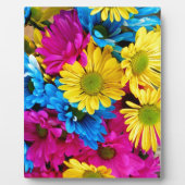 Plaque Photo Balises aux couleurs vives (Devant)