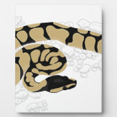 Plaque Photo Ball Python Snake (Devant)