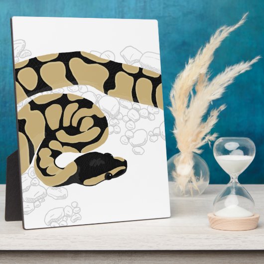 Plaque Photo Ball Python Snake (Côté)