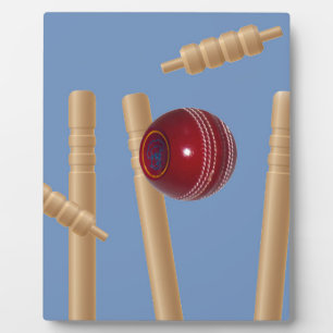 Plaque Photo Balle Et Pompes De Cricket,