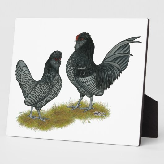 Plaque Photo Bantams (Côté)