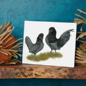 Plaque Photo Bantams (Côté)