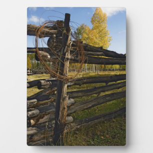 Plaque Photo Barbed Wire