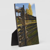 Plaque Photo Barbed Wire (Côté)