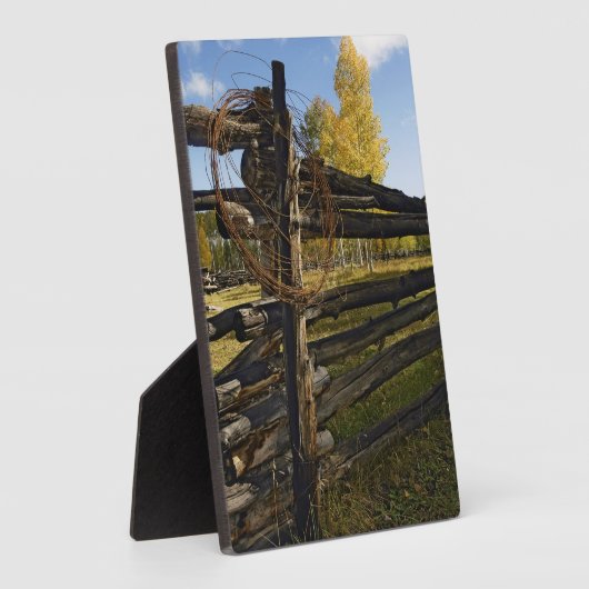 Plaque Photo Barbed Wire (Côté)