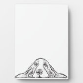 Plaque Photo basset blanc (Devant)