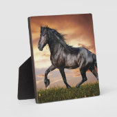 Plaque Photo Beau Cheval Noir (Recto)