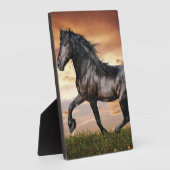 Plaque Photo Beau Cheval Noir (Côté)