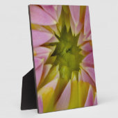 Plaque Photo Beau dahlia (Côté)