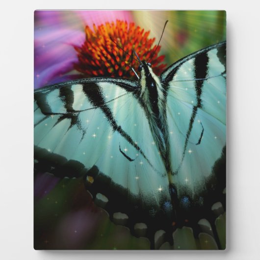 Plaque Photo Beau papillon Turquoise Swallowtail (Devant)