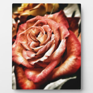 Plaque Photo Beau Rose
