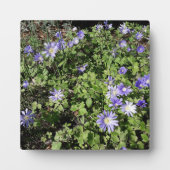 Plaque Photo Beaucoup de fleurs (Devant)