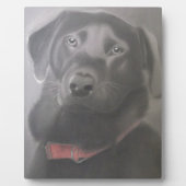 Plaque Photo Beautiful Labrador (Devant)