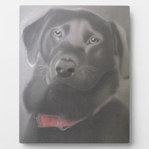 Plaque Photo Beautiful Labrador