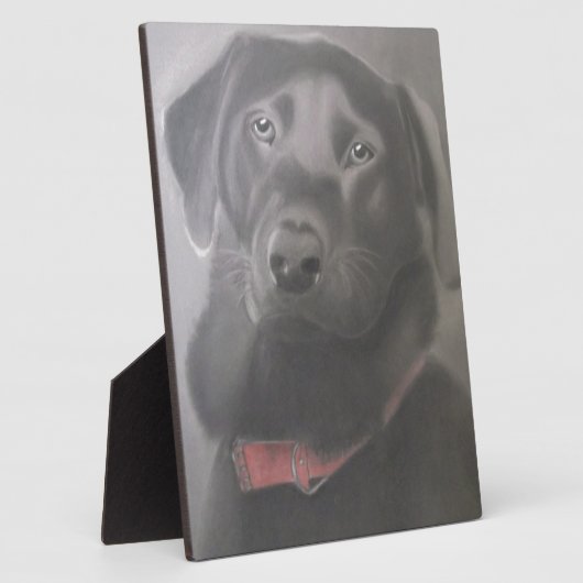 Plaque Photo Beautiful Labrador (Côté)