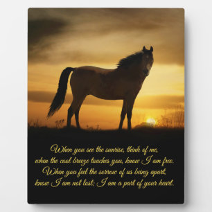 Plaque Photo Beautiful Spirit Memorial Poem Horse in Sunset