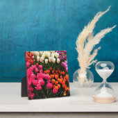 Plaque Photo Beautiful Tulip (Insitu)