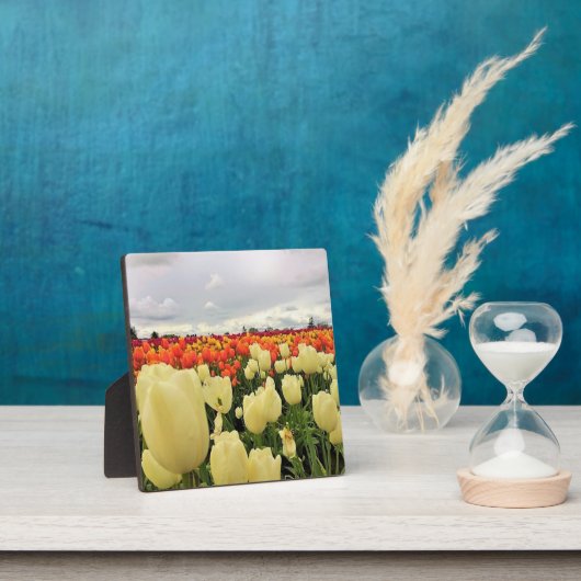 Plaque Photo Beautiful Tulip Field (Insitu)