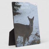 Plaque Photo Bébé Buck Blancs Cerf Snow EASEL (Côté)
