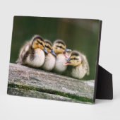 Plaque Photo Bébé Canards (Côté)