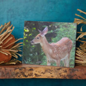 Plaque Photo Bébé - Cerf de queue blanche (Côté)