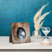Plaque Photo Bébé Oiseaux (Insitu)