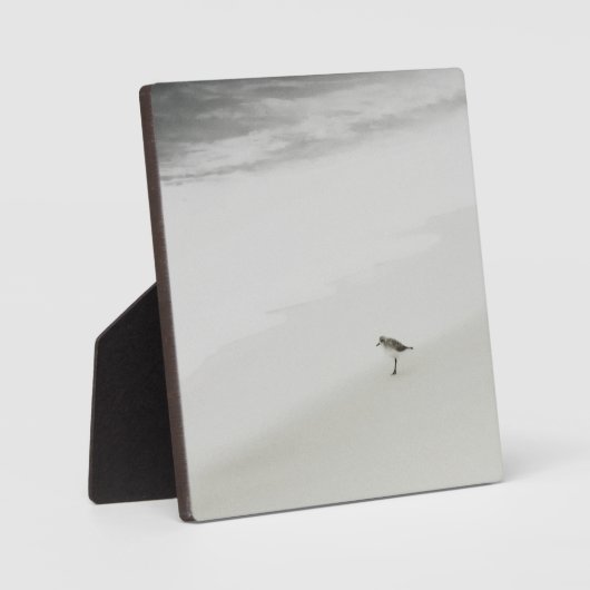 Plaque Photo Bécasseau côtier sur la plage (Recto)