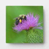 Plaque photo Bee and Thistle (Devant)