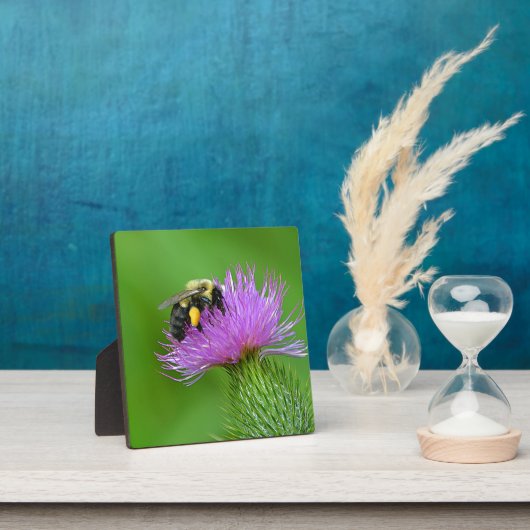 Plaque photo Bee and Thistle (Insitu)