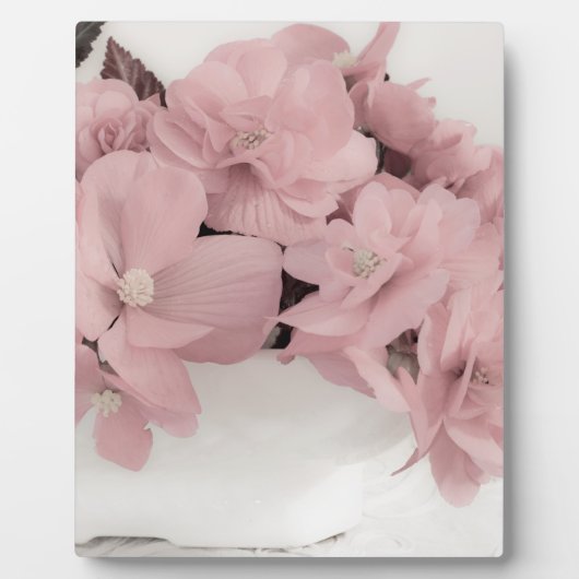 Plaque Photo Begonias rose (Devant)